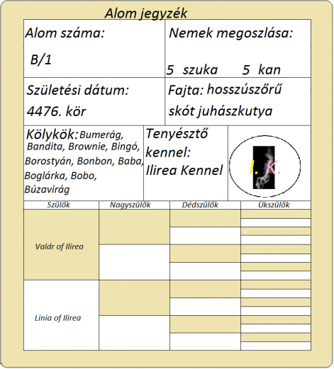 b_per_1_alom.png