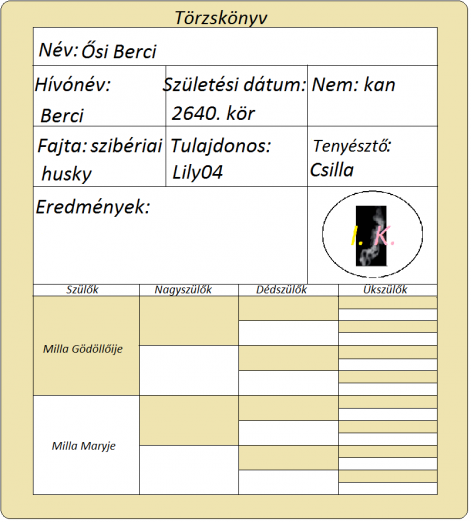 berci_torzskonyv.png