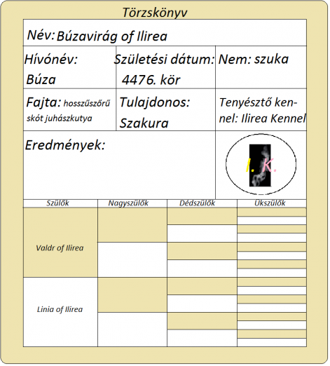buza_torzskonyv.png