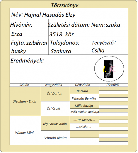 erza_torzskonyve.png