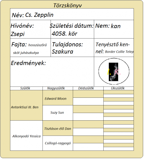 zsepi_torzskonyv.png